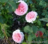 Abraham Darby