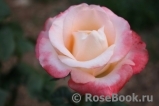 Belle Perle Belle Perle