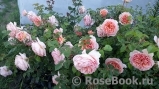 Abraham Darby Abraham Darby