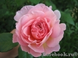 Abraham Darby Abraham Darby
