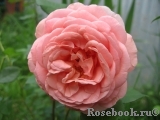 Abraham Darby Abraham Darby