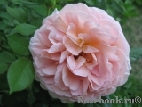 Abraham Darby Abraham Darby