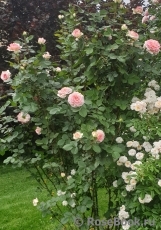 George Sand George Sand