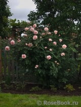 A Shropshire Lad A Shropshire Lad