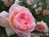 Abraham Darby Abraham Darby