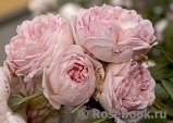 Abraham Darby Abraham Darby