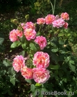 Claude Monet Claude Monet