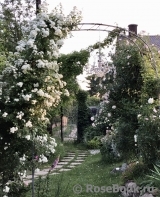 Guirlande d'Amour Guirlande d'Amour