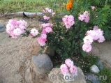 Brise Parfum Brise Parfum