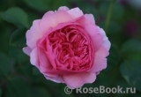 Princess Alexandra of Kent Princess Alexandra of Kent