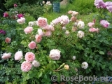 Abraham Darby Abraham Darby