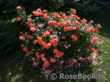 Westerland Westerland