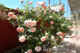Abraham Darby Abraham Darby