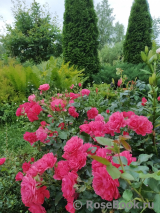 Jardins de France Jardins de France