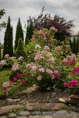 Heavenly Pink Heavenly Pink