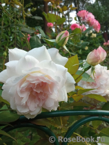 Jardins d'Albertas Jardins d'Albertas