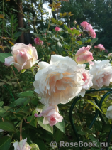 Jardins d'Albertas Jardins d'Albertas