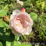 Natalja Наталья Natalja Наталья