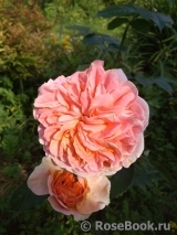Abraham Darby Abraham Darby