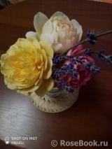 COMPOSITION COMPOSITION