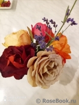 COMPOSITION COMPOSITION