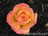 Gartenspass ® Gartenspass ®