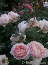 Abraham Darby Abraham Darby