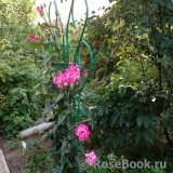 ОПРЕДЕЛИТЕЛЬ ОПРЕДЕЛИТЕЛЬ