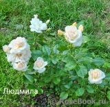 Lyudmila Людмила Lyudmila Людмила