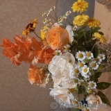 COMPOSITION COMPOSITION
