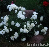 Schneewittchen Schneewittchen