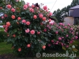 Westerland Westerland