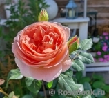 Abraham Darby Abraham Darby