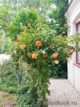 Westerland