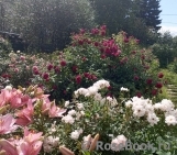 William Shakespeare 2000