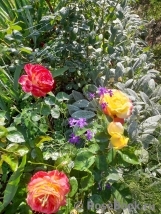 Pullman Orient Express 