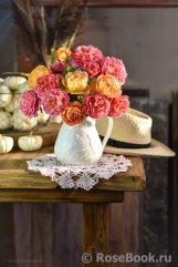 Pink Lady of Shalott