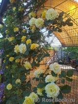 Rimosa Climbing