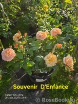 Souvenir d'Enfance