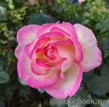 Princesse de Monaco