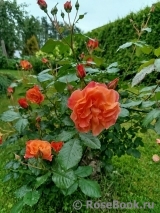 Westerland Westerland