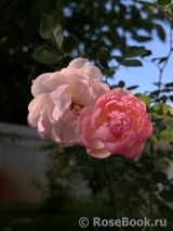 Scarborough Fair