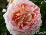 Abraham Darby Abraham Darby