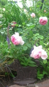 Alan Titchmarsh Alan Titchmarsh