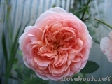 Abraham Darby Abraham Darby