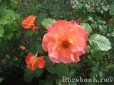 Westerland Westerland