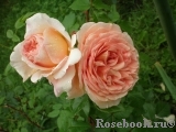 Abraham Darby Abraham Darby