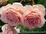 A Shropshire Lad A Shropshire Lad