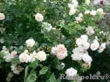 Ghislaine de Feligonde Ghislaine de Feligonde