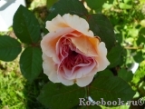 A Shropshire Lad A Shropshire Lad